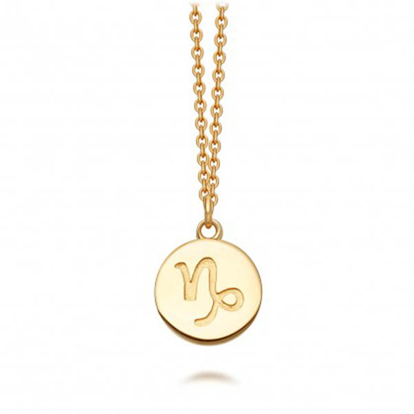 Capricorn Zodiac  Astrology Necklace Jewelry