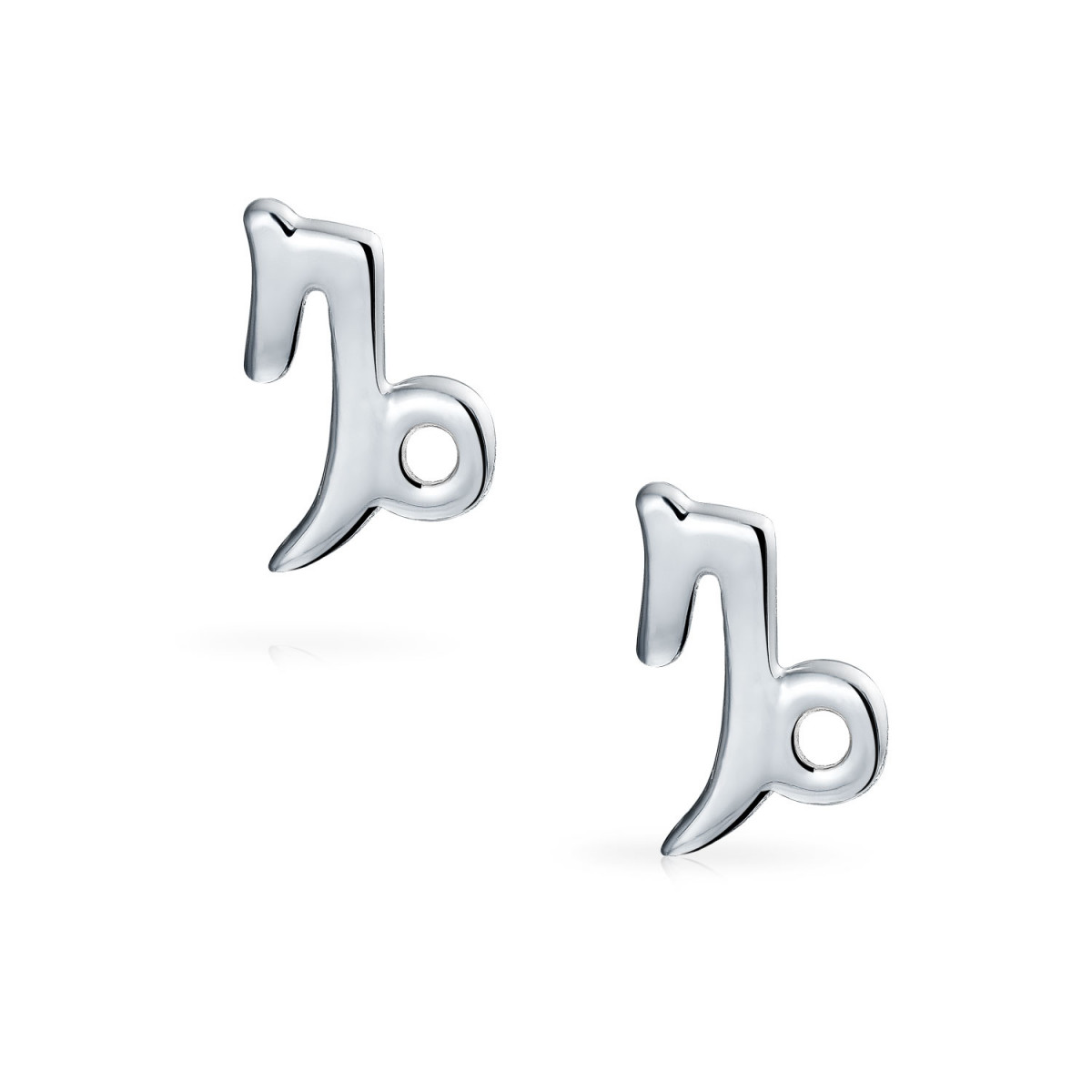 Beautiful Capricorn Zodiac Earrings Jewelry
