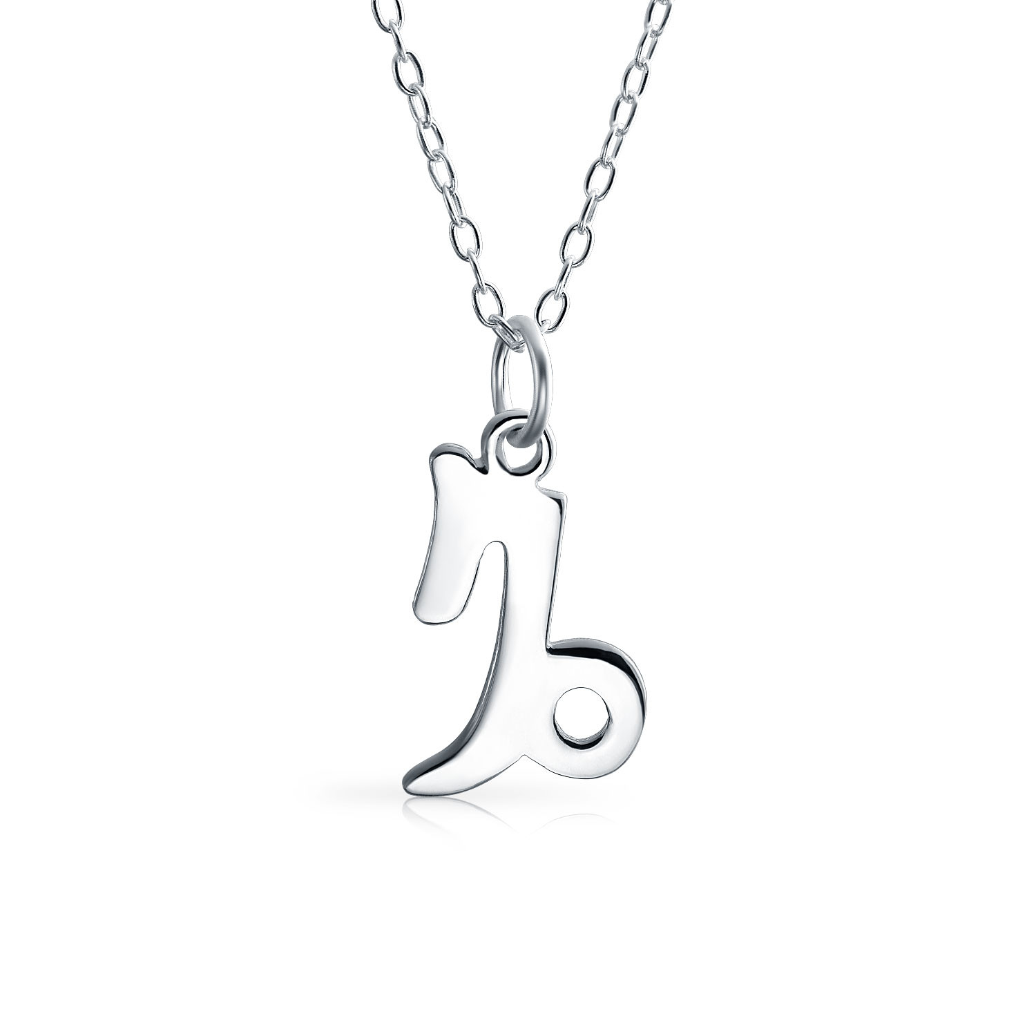 Capricorn Zodiac  horoscope Necklace Jewelry