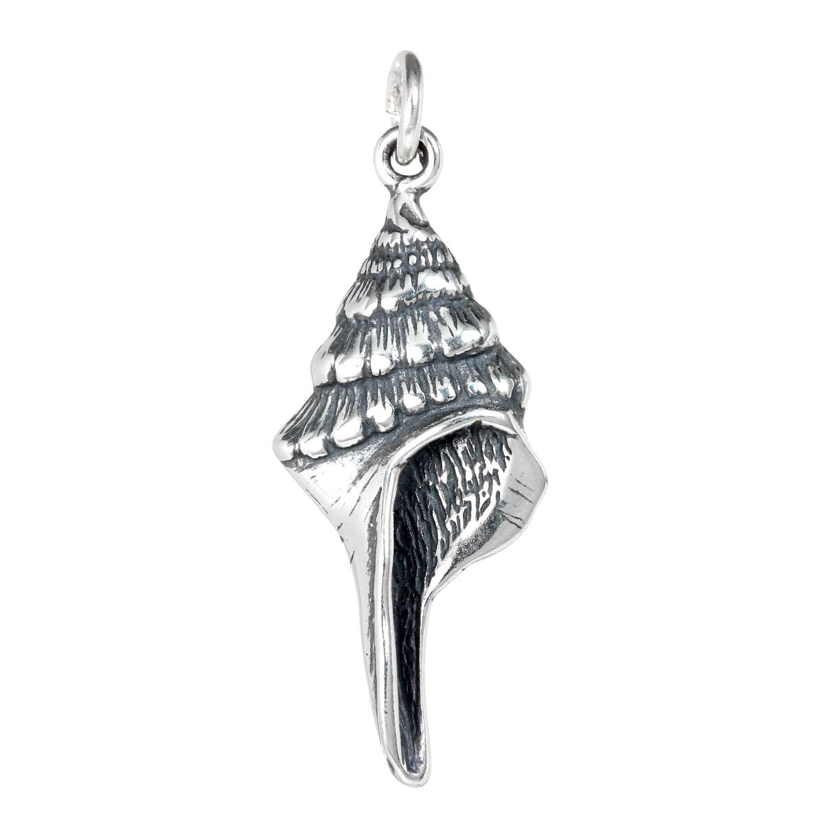 Best Price Of Conch Shell Charm |Fine Silver For Jewelry Conch Shell Charm|