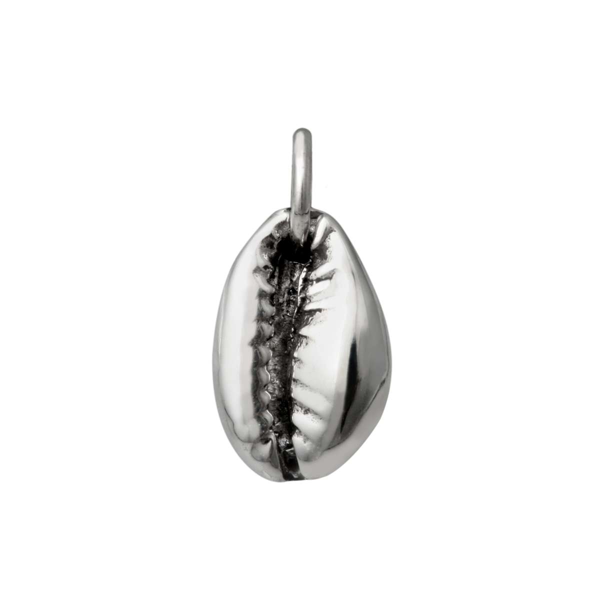 Buy Online Cowrie Shell Charm |Sterling Silver Cowrie Shell Charm|